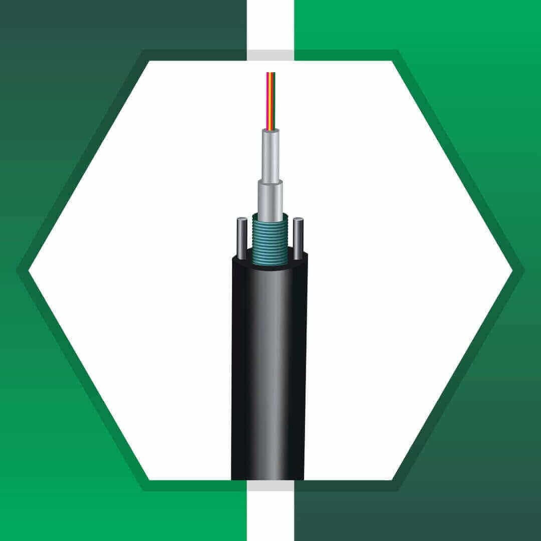 Exploring Fiber Optic Multi-Core Indoor-Outdoor Cable by TMT Global Technology Ltd 1 Multi-Core Indoor-Outdoor fiber optic cable Multi Core single mode Armored 96core G.652D